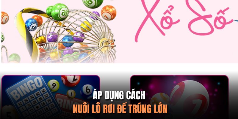 Áp dụng cách nuôi lô rơi để trúng lớn